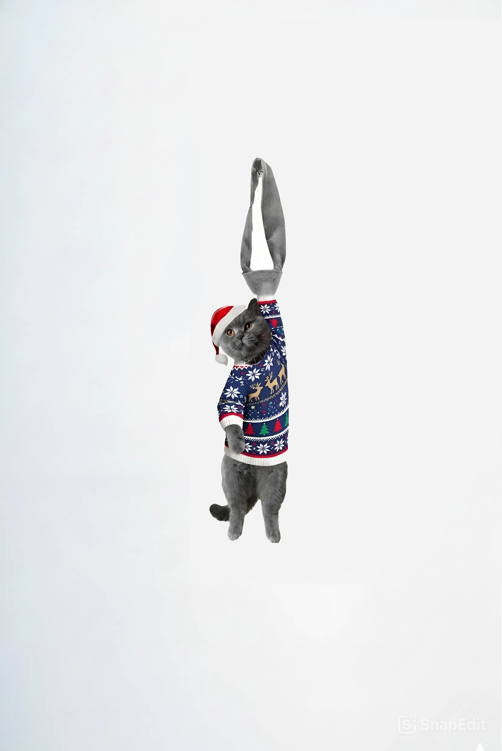 Animals Ties - British Blue Noel Lucky Cat Tie, Vintage Tie, Novelty Tie, Silk Tie.