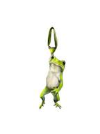 Basic Pet Tie – Green Frog Silk Tie, Cute Tie, Pet Tie