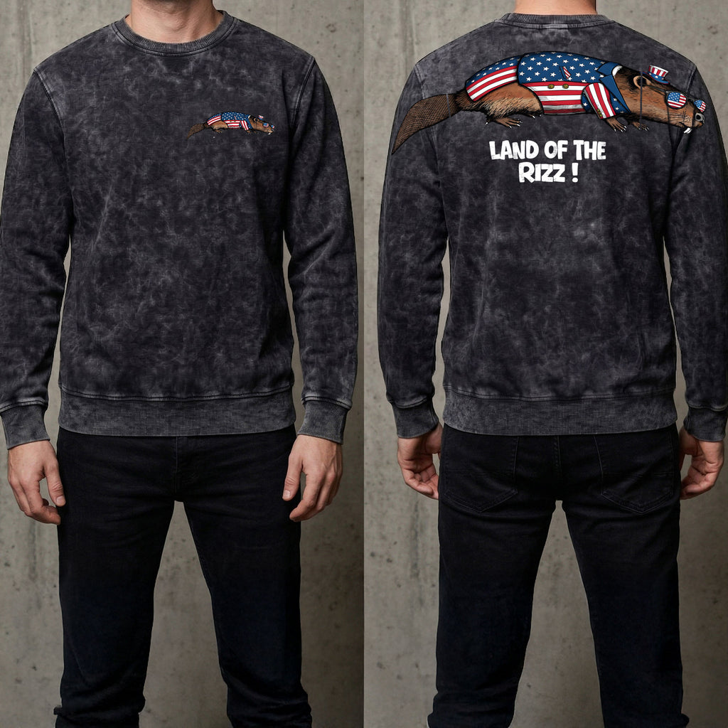 Funny USA Beaver Land Of The Rizz 4th of July America 250th Apparel T-Shirt-Sweatshirt-Hoodie
