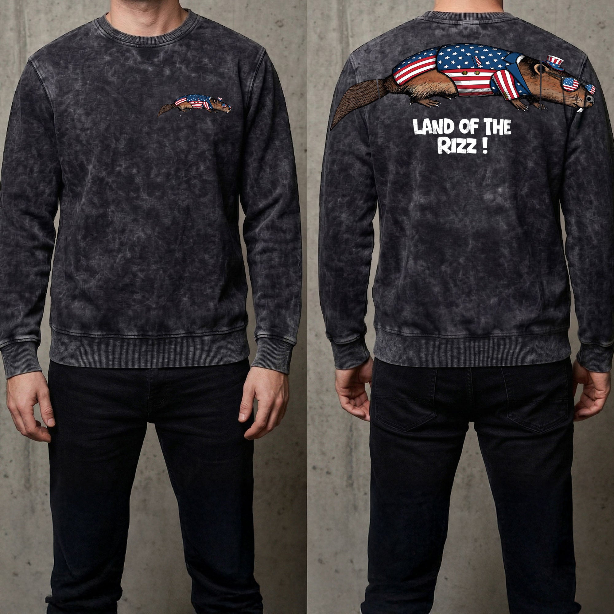 Funny USA Beaver Land Of The Rizz 4th of July America 250th Apparel T-Shirt-Sweatshirt-Hoodie