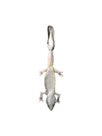 Basic Pet Tie – Leopard Gecko Printed Tie, Graphic Tie, Unique Tie