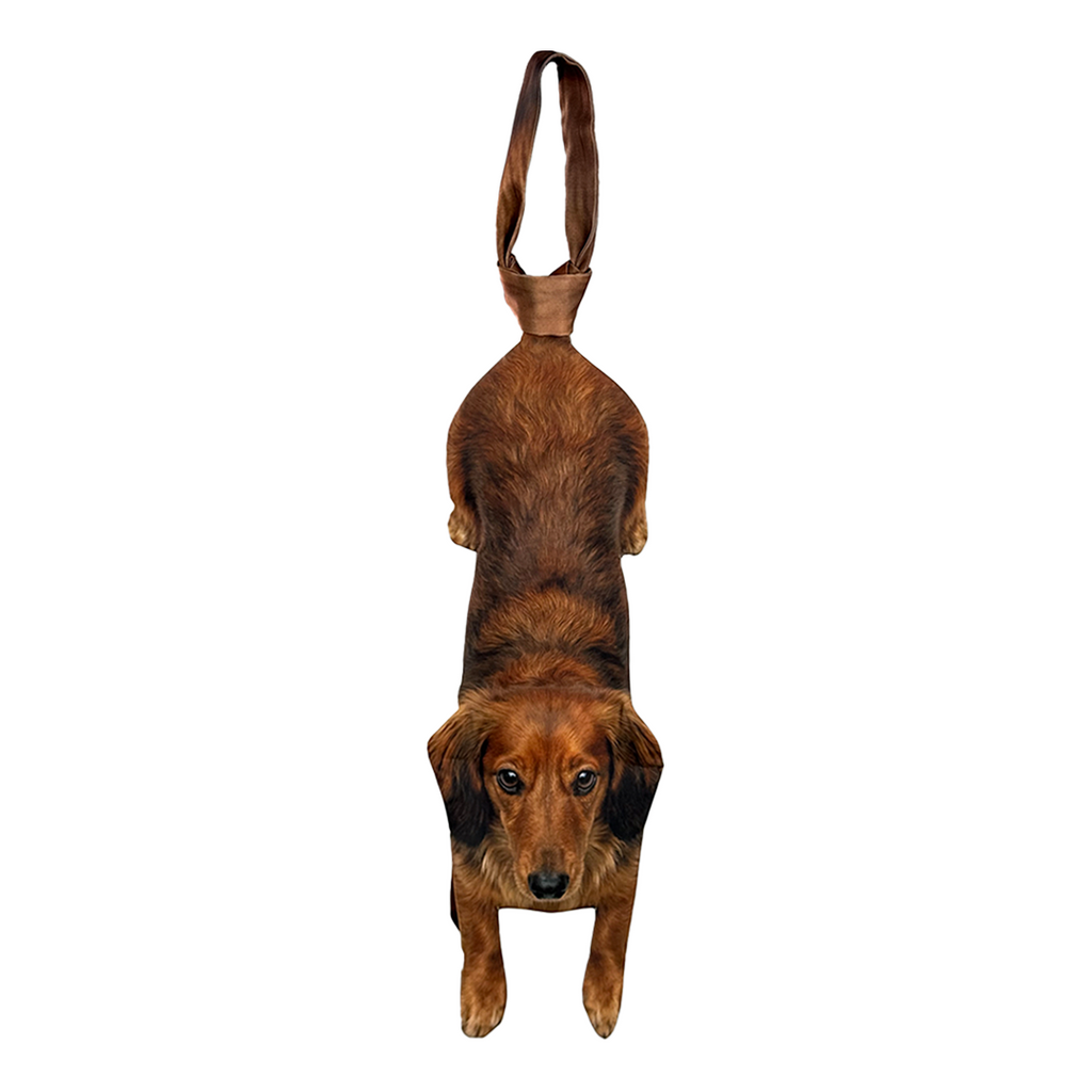 Basic Pet Tie – Ginger Dachshund Cute Tie, Silk Tie, Pet Tie