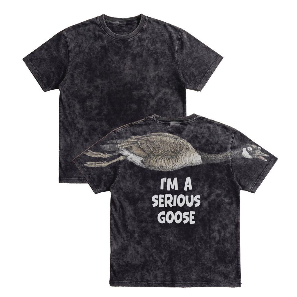 I'm A Serious Goose sweatshirt funny graphic pullover by Dripvity, unisex oversized white sweatshirt with goose design on back