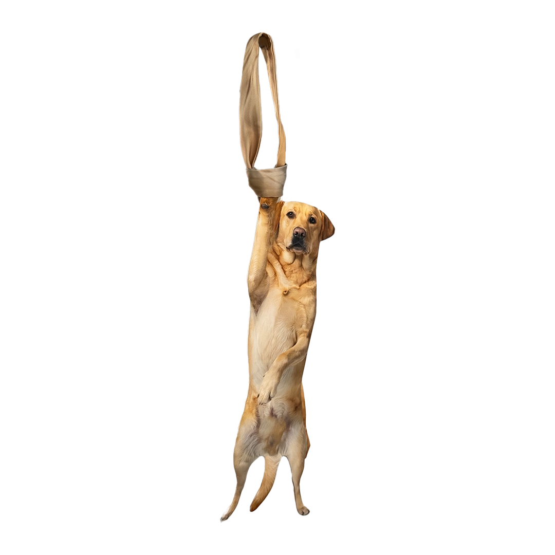 Novelty necktie featuring a realistic hanging yellow Labrador retriever design, a fun and unique fashion accessory for dog lovers.