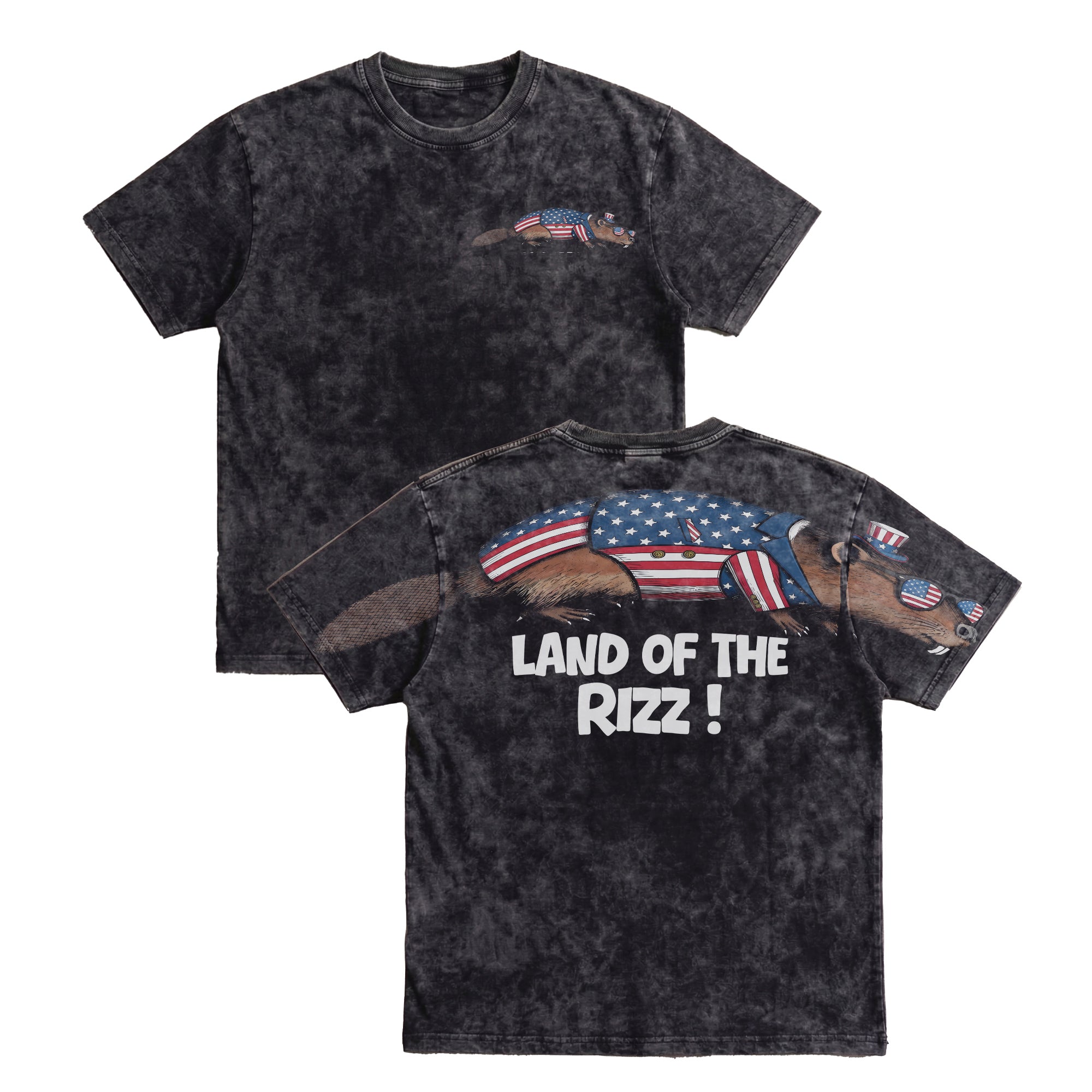 Funny USA Beaver Land Of The Rizz 4th of July America 250th Apparel T-Shirt-Sweatshirt-Hoodie