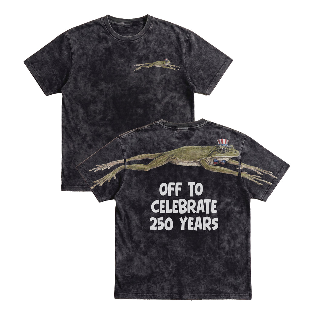 Funny USA Frog Off To Celebrate 250 Years 4th of July Apparel T-Shirt-Sweatshirt-Hoodie