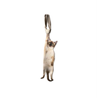 Novelty necktie featuring a realistic Siamese cat design hanging down, a fun and unique fashion accessory.