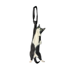 Novelty necktie featuring a realistic illustration of a black and white tuxedo cat, a playful and unique fashion accessory for cat lovers.